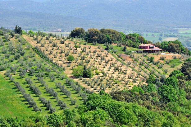 tuscany-002-web