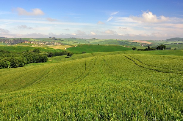 tuscany-003