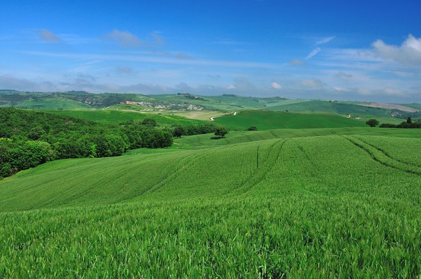 Tuscany landscape at the spring.