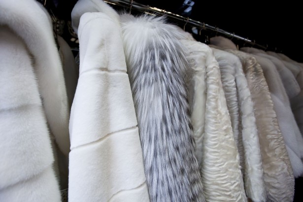 12856484 - expensive fur coats for women on coat-hanger