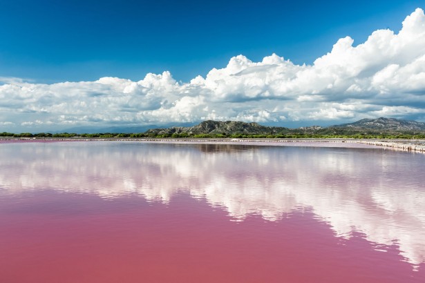 48886942 - pink water salt lake in dominican republic