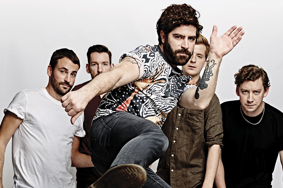 foals