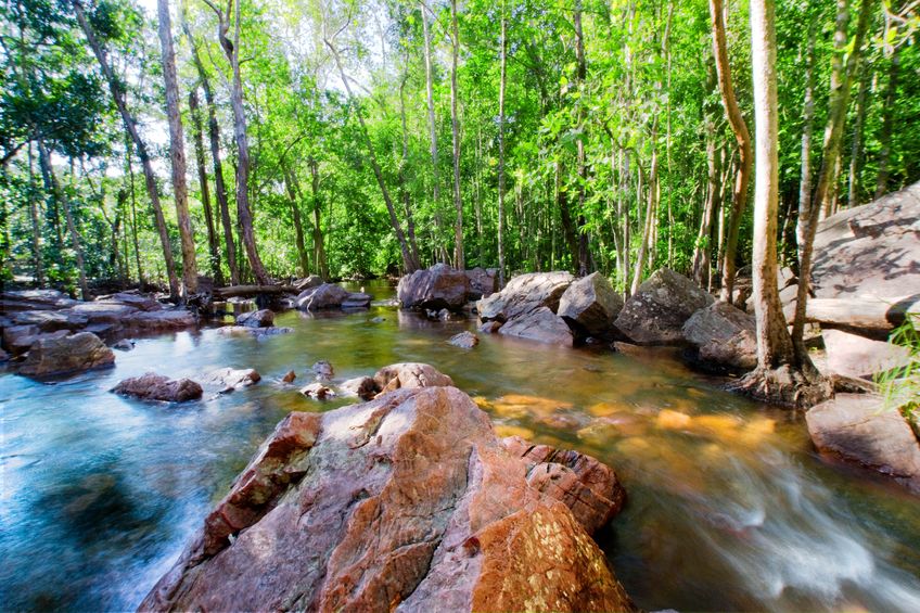 4608386 - a natural spring in northern australia