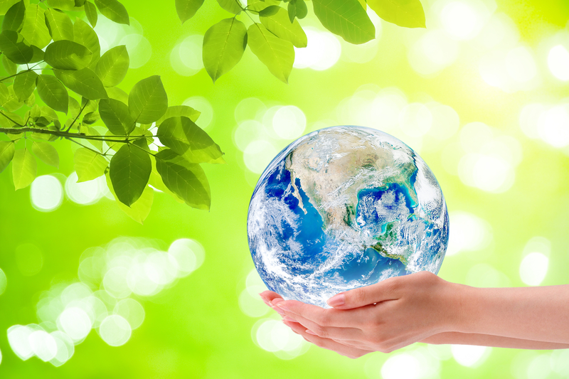 GREENCHALLENGE: долучайся до флешмобу і рятуй планету разом із зірками
