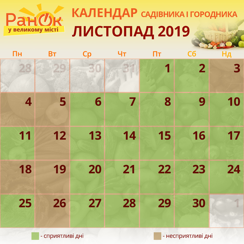 календар садівника фото