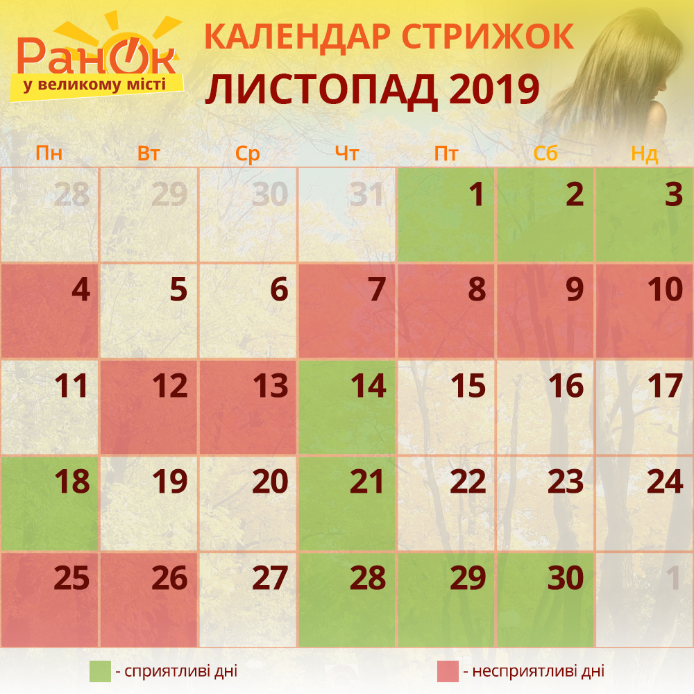 календар стрижок листопад 2019
