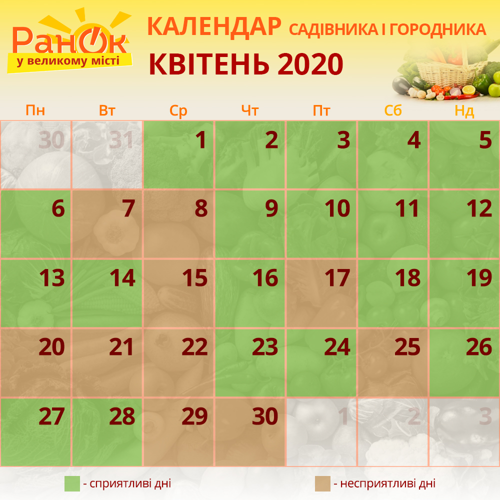 місячний календар садівника-городника квітень 2020 фото