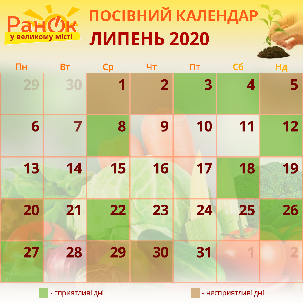 Посівний календар садівника і городника на липень 2020