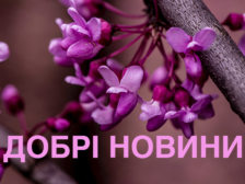 добрі новини