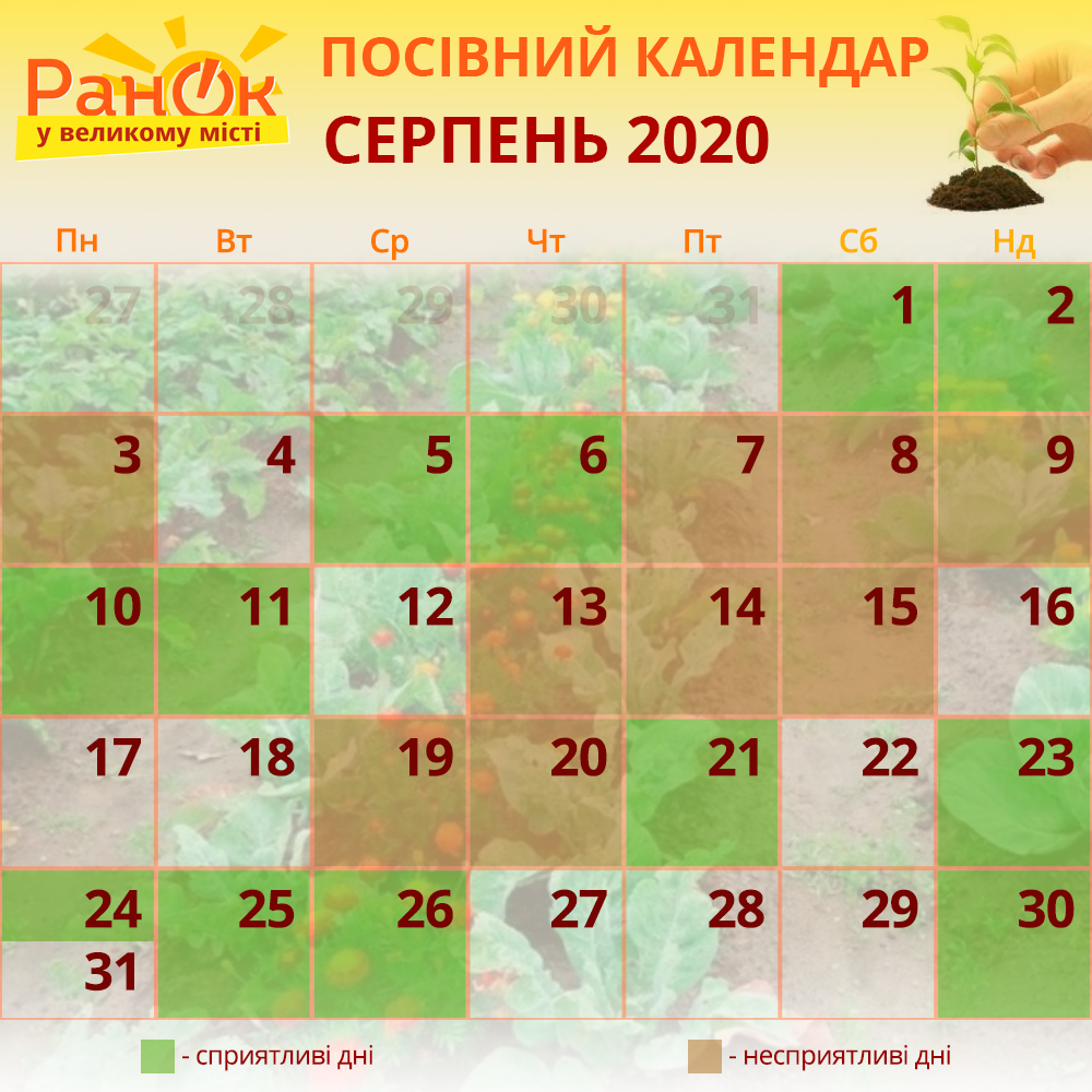 Посівний календар на серпень 2020