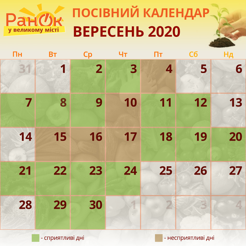 Посівний календар на вересень 2020