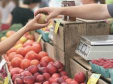 продукти фото