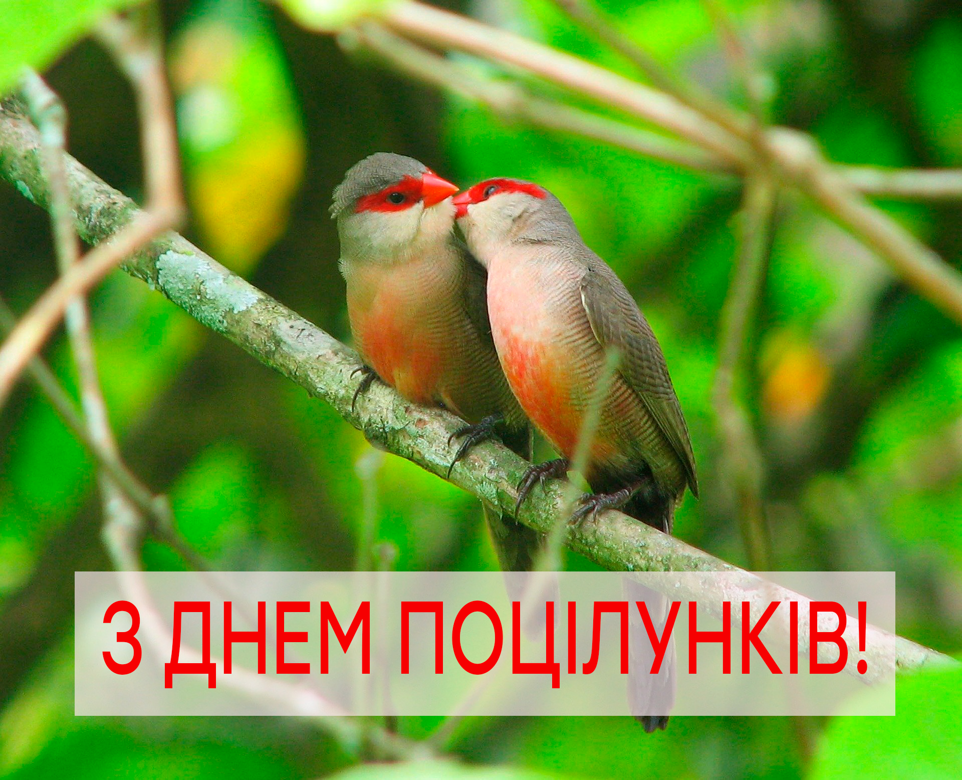 З Днем поцілунків картинка