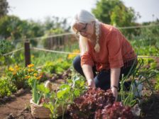 Посівний календар садівника і городника