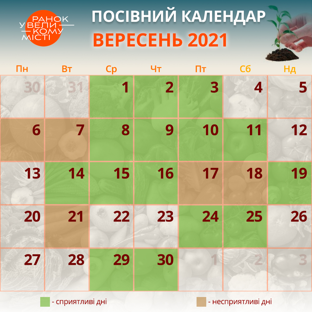 календар садівника-городника вересень 2021