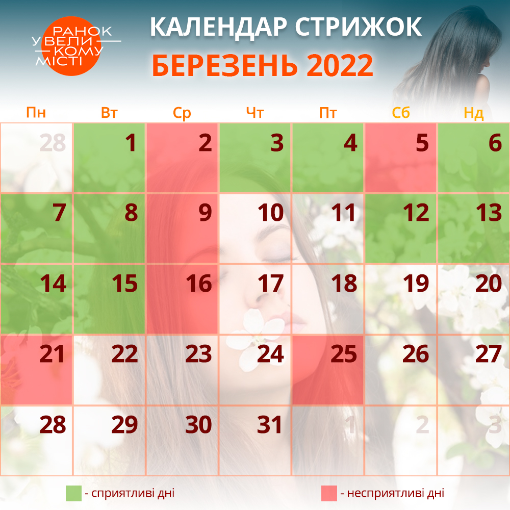 календар стрижок