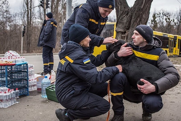 Налякані, але врятовані: зворушливі фото тварин, яким вдалося зберегти життя під час війни